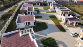 Nest Estate Dodoma